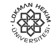 Logotipo de Lokman Hekim Üniversitesi