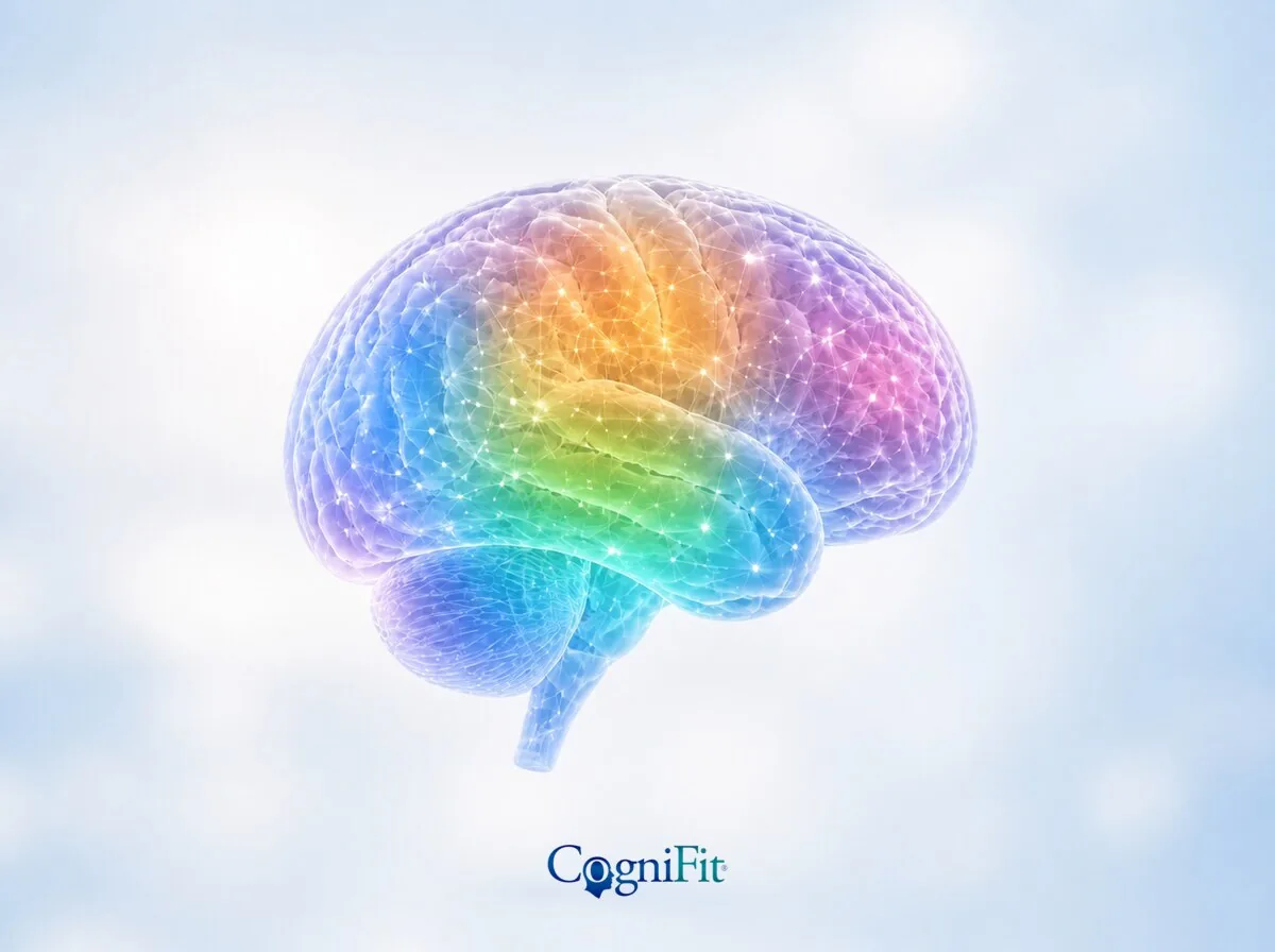 Cognitive assessment results shown as clear, readable measurements.