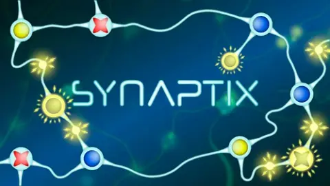 Cover of Synaptix, a CogniFit brain game